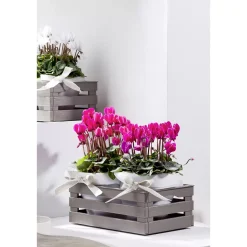 Aufbewahrungsbox