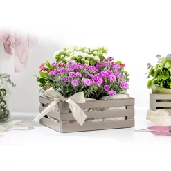 Aufbewahrungsbox