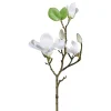 Dekozweig Magnolie