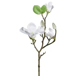 Dekozweig Magnolie