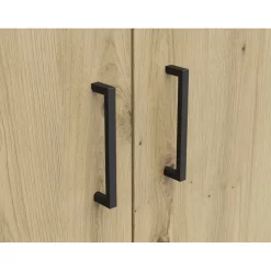 Drehtürenschrank 2T