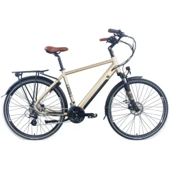 E-Bike Zenith