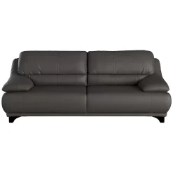 2,5er Sofa