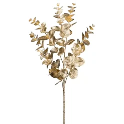 Eucalyptuszweig