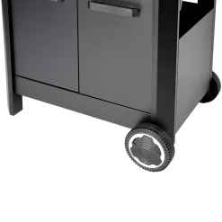 Gasgrill