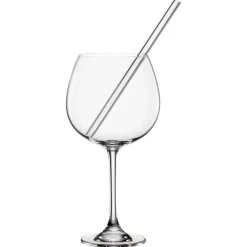 Gin Gläser und Trinkhalme Set