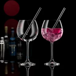 Gin Gläser und Trinkhalme Set