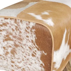 Hocker