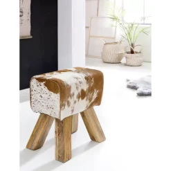 Hocker