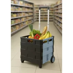 Klappbox Trolley Leon