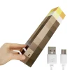 LED-Fackel mit Wandhalterung