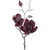Magnolie