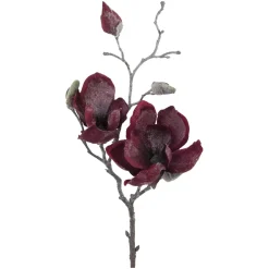 Magnolie