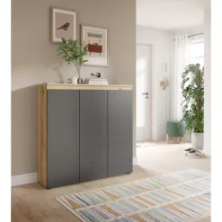 Mehrzweckschrank