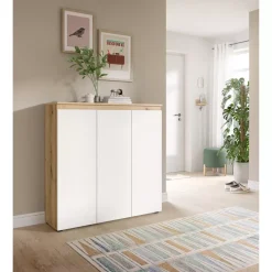 Mehrzweckschrank