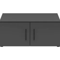 Regal 2T