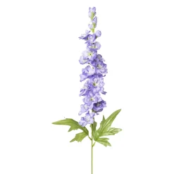 Rittersporn Alara