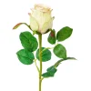 Rose Carima