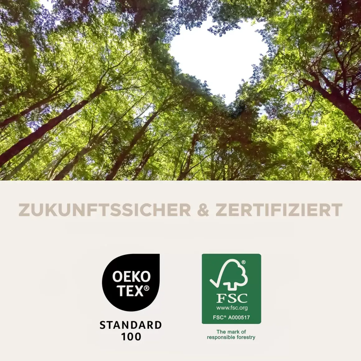 Stuhl 2er Set