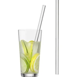 Trinkhalm Glas 6er Set