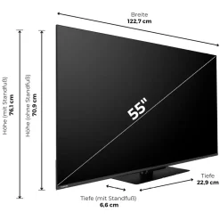 TV Toshiba 55 Zoll
